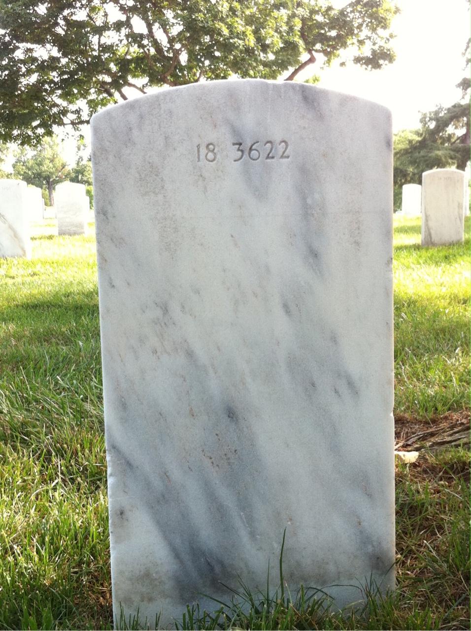 Back of headstone — Anthony Mitsko
