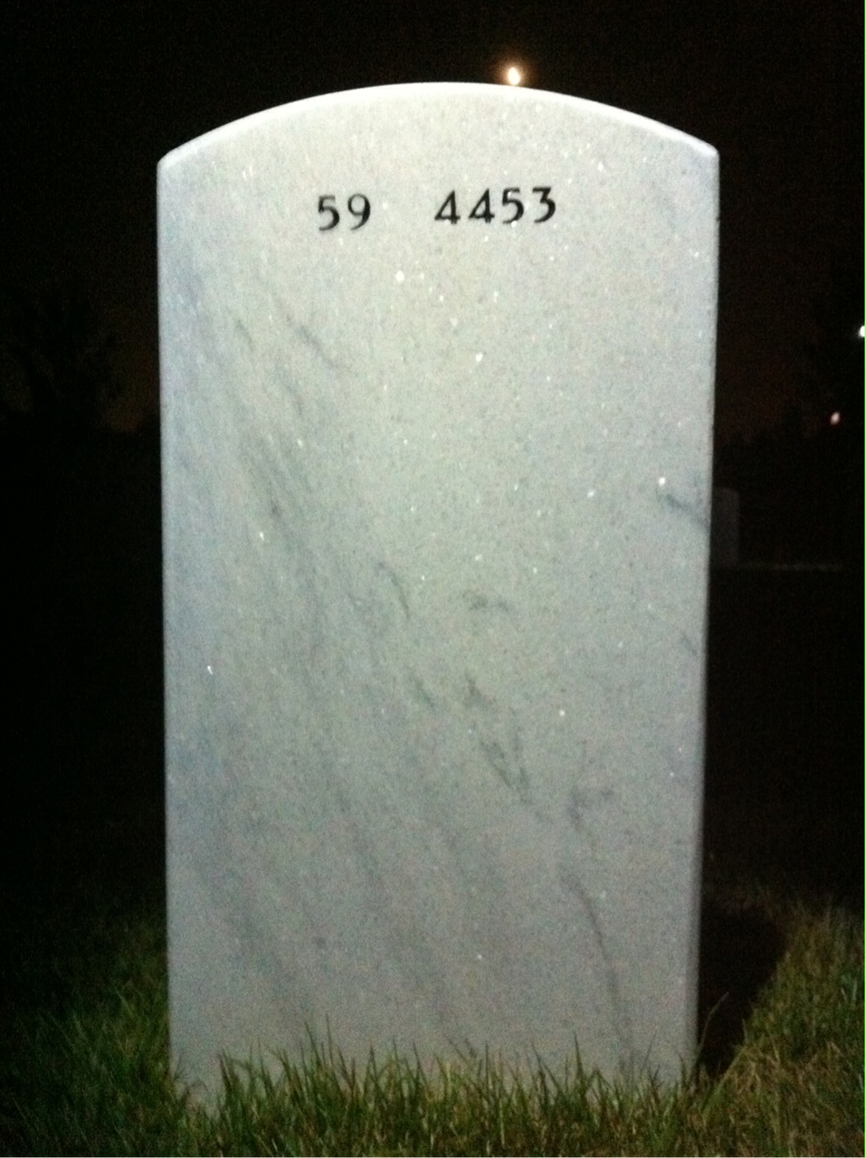 Back of headstone — Thomas Francis Chadwick