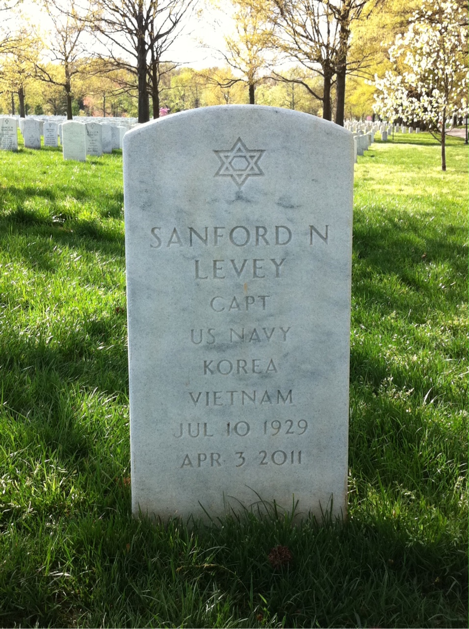 Sanford N Levey