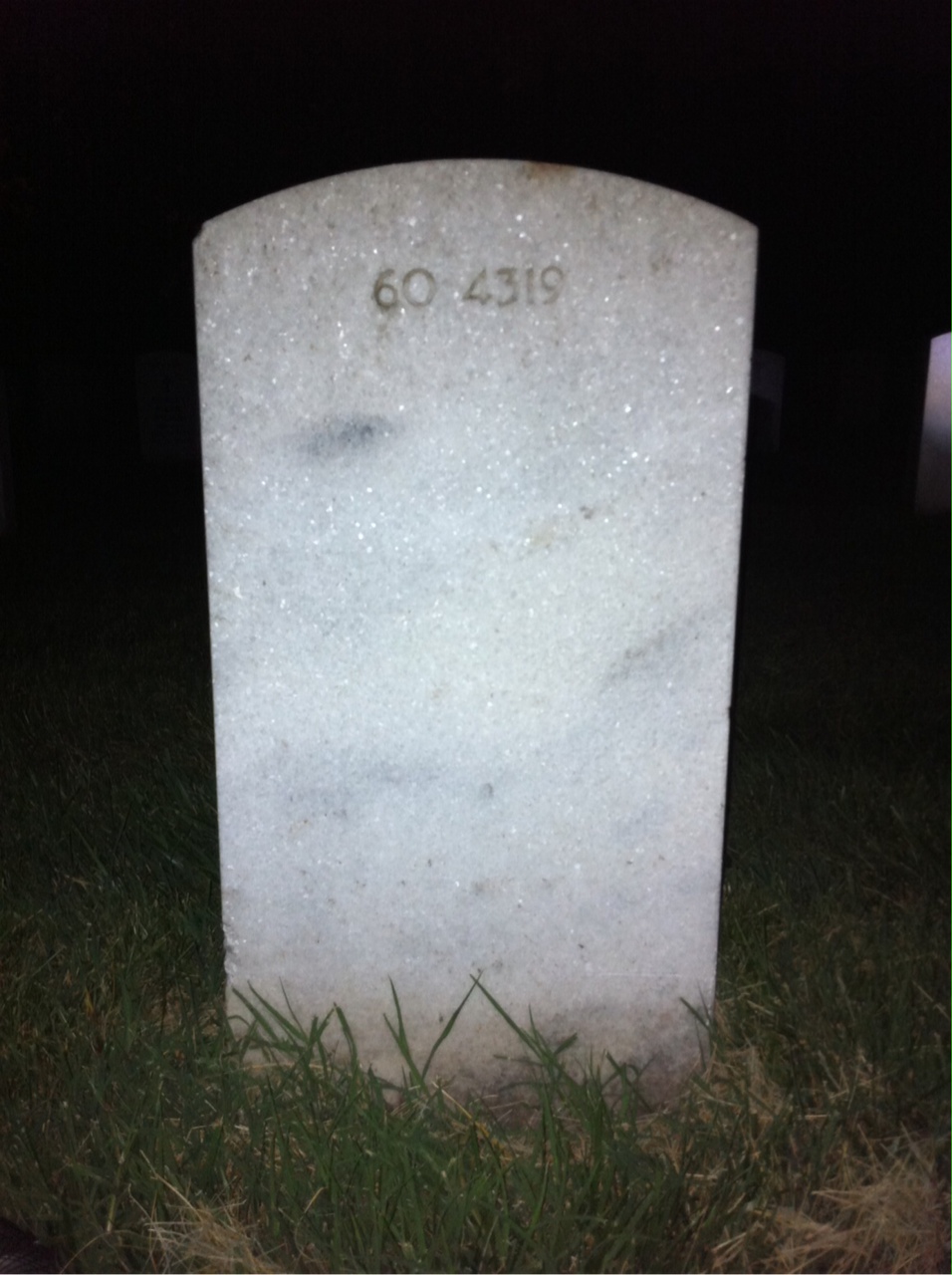 Back of headstone — William Francis Shelton