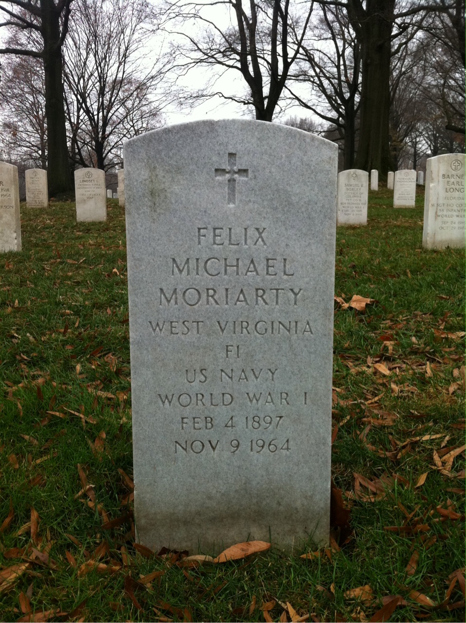 Steffie Moriarty