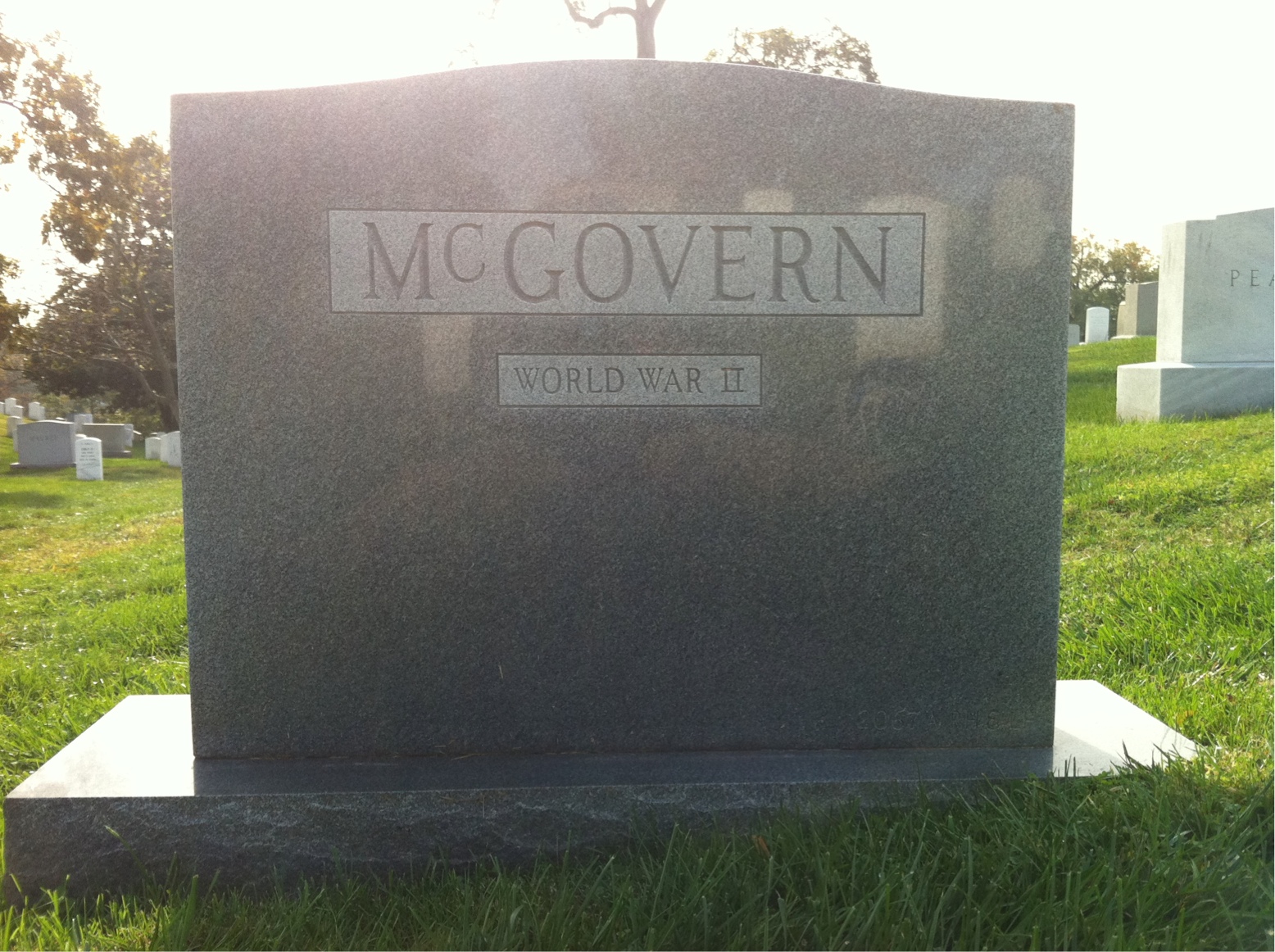 Back of headstone — Francis Mcgovern