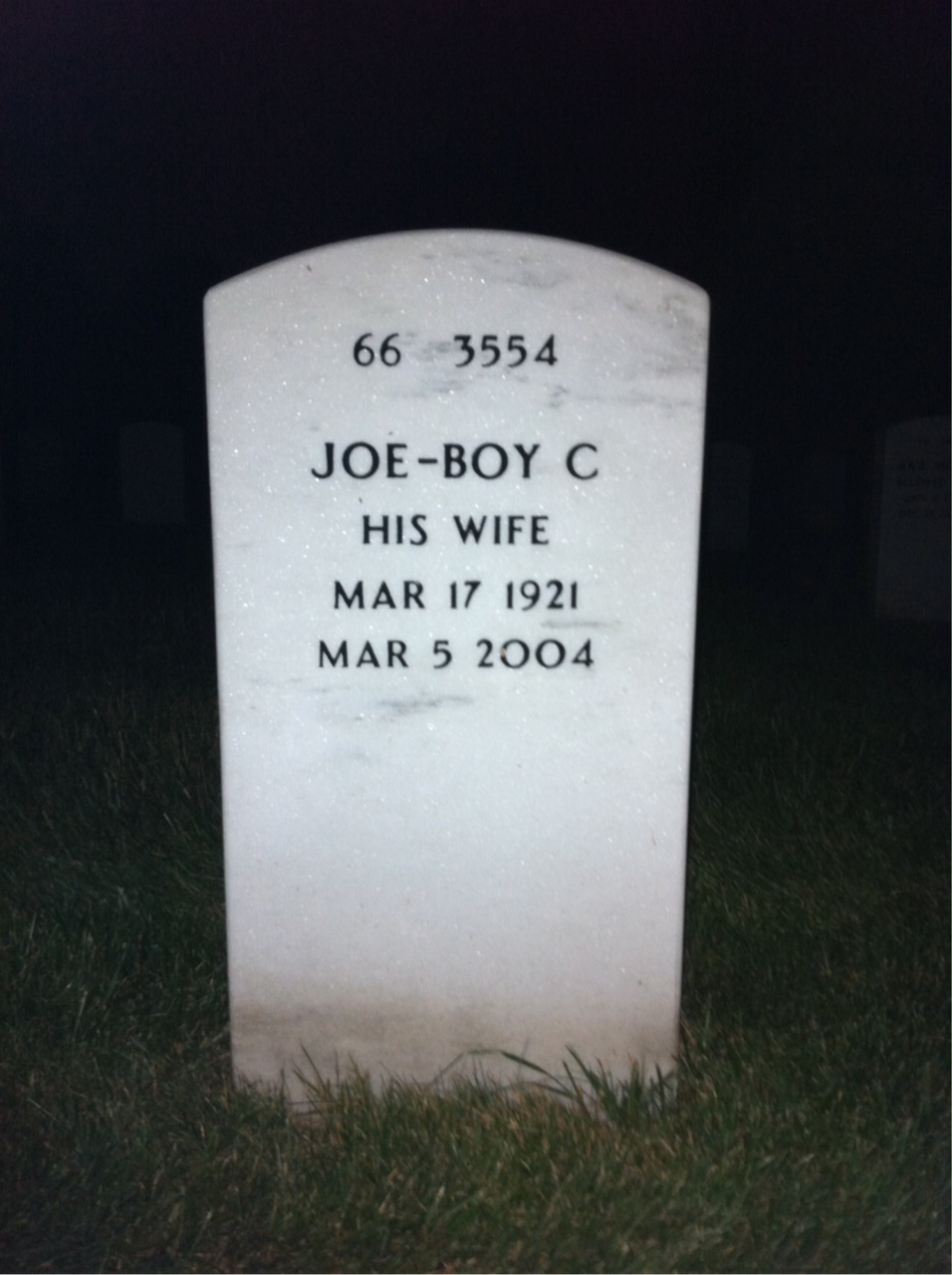 Back of headstone — Robert Higginbotham