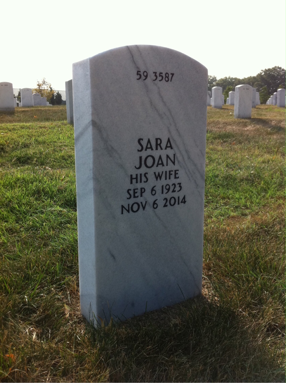 Back of headstone — Adna Wilde