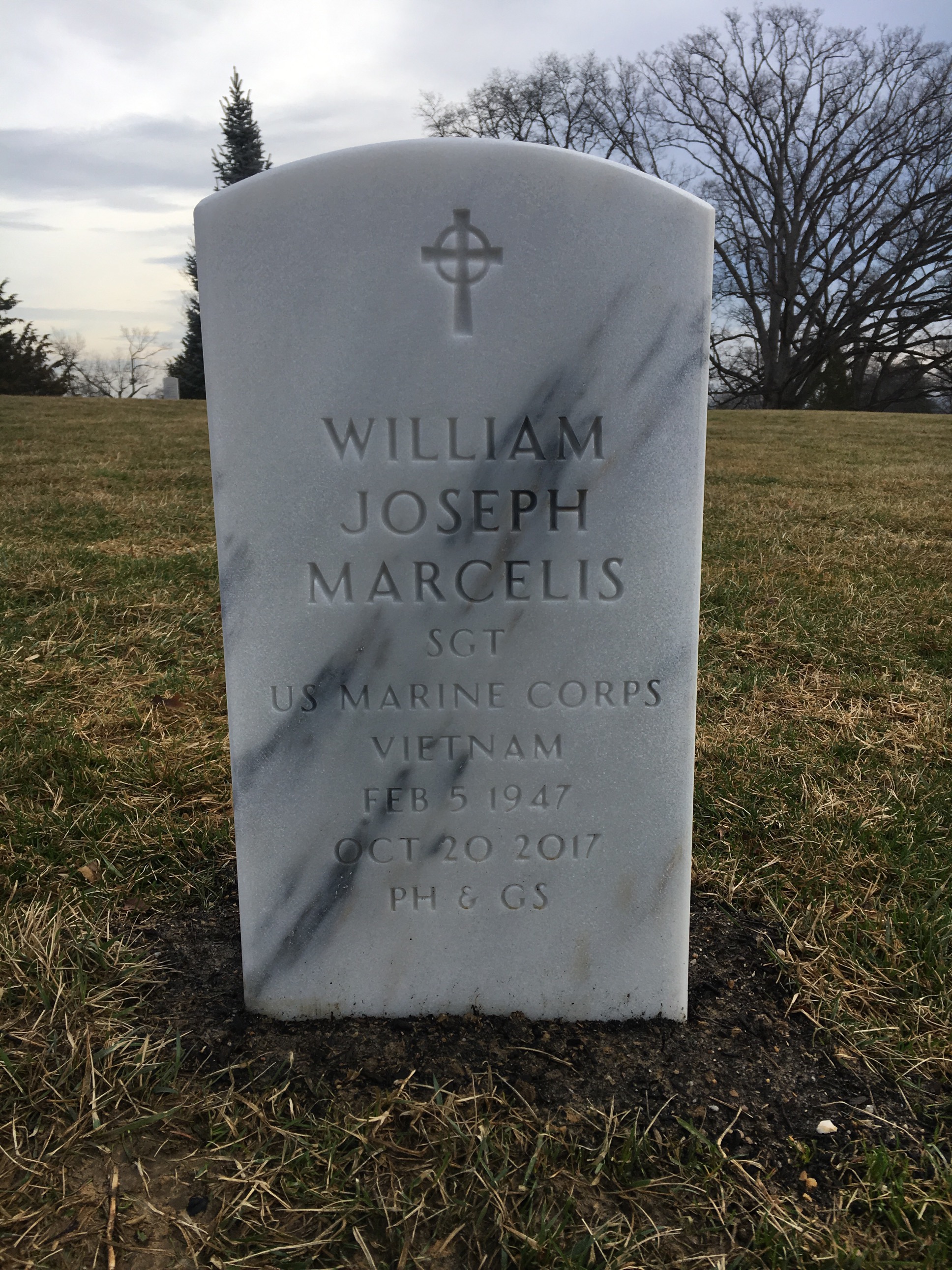 William J Marcelis