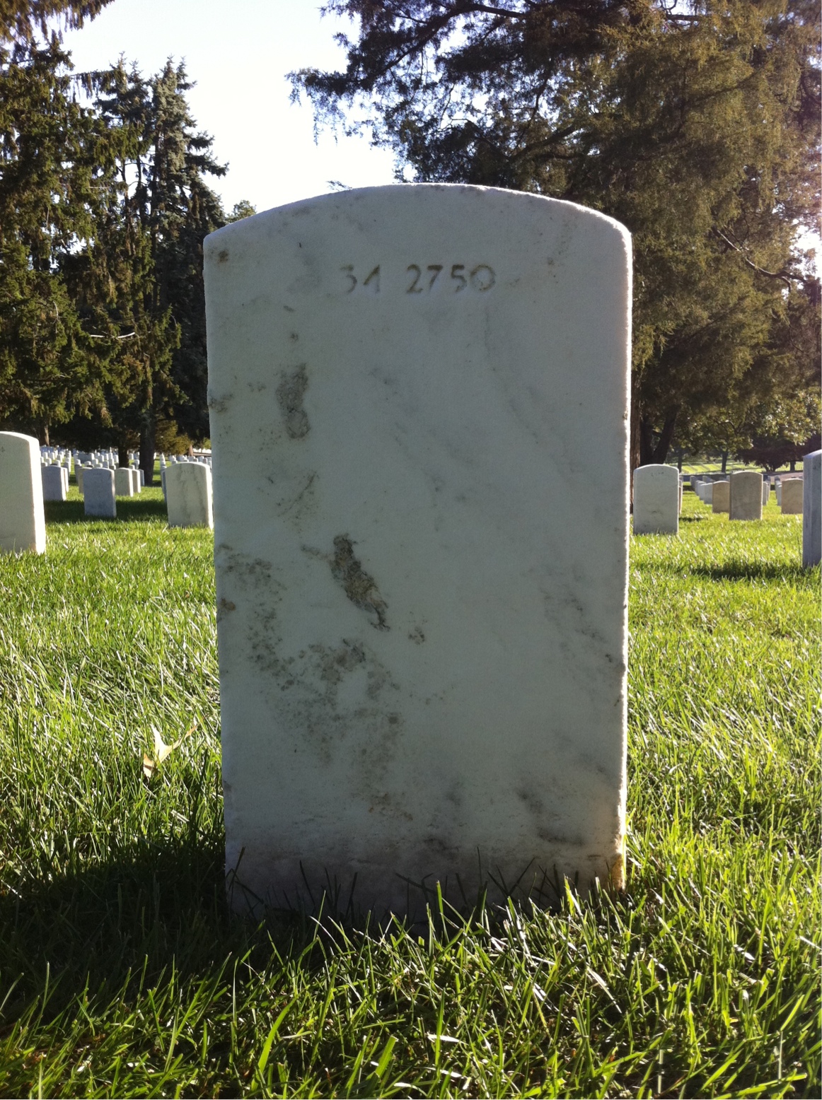 Back of headstone — William Mccracken