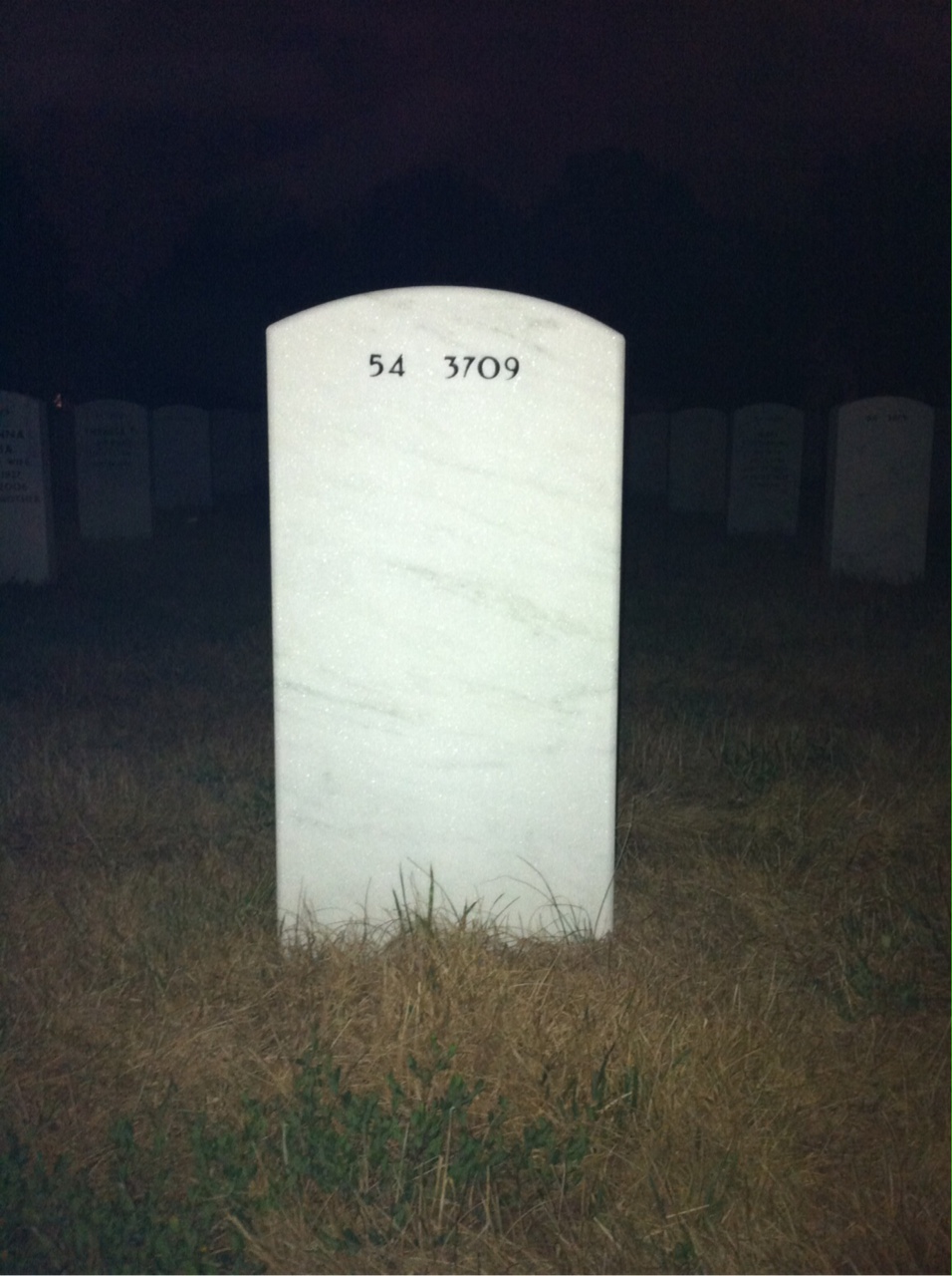 Back of headstone — Royal Billings