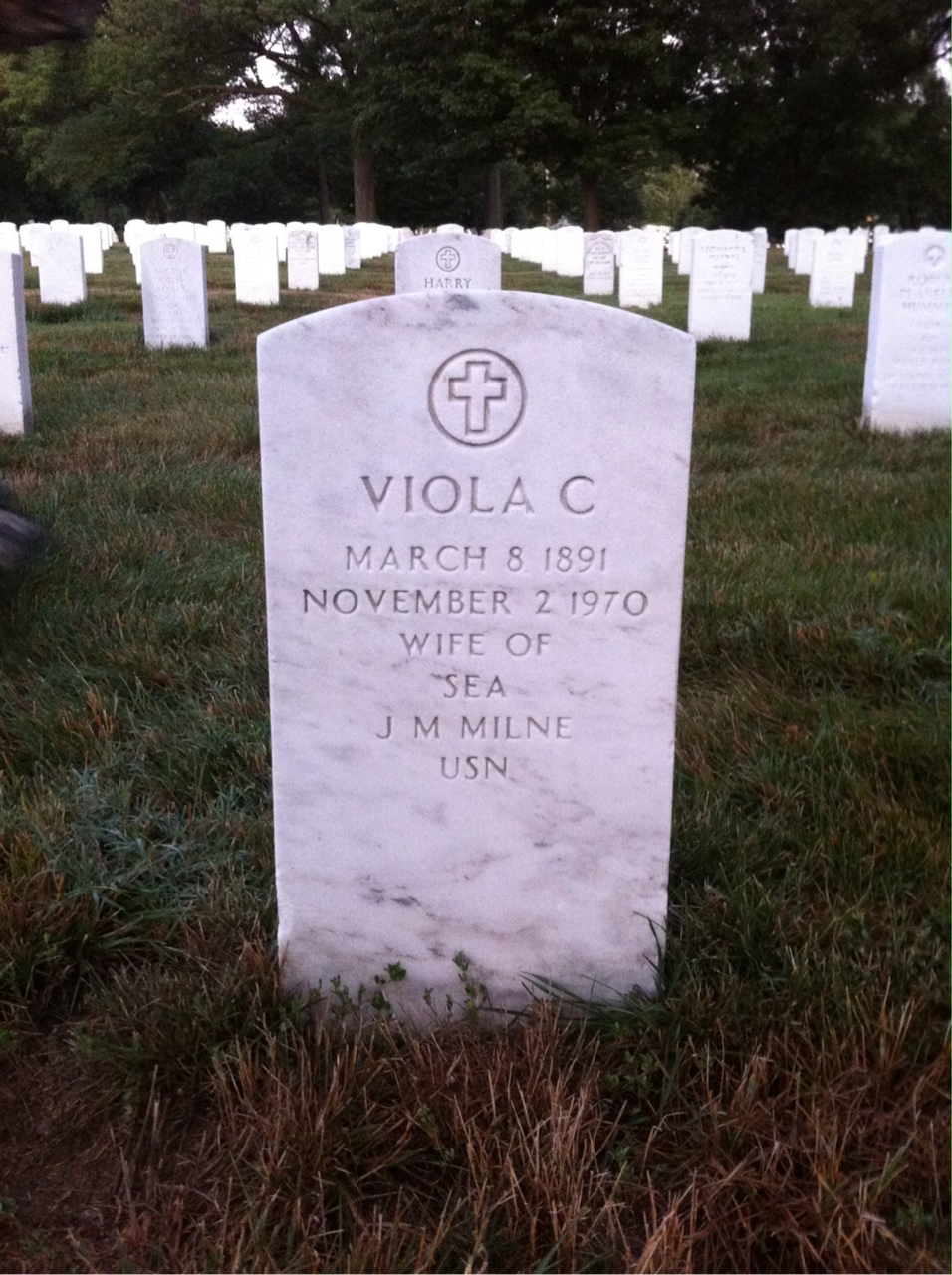 Viola Milne