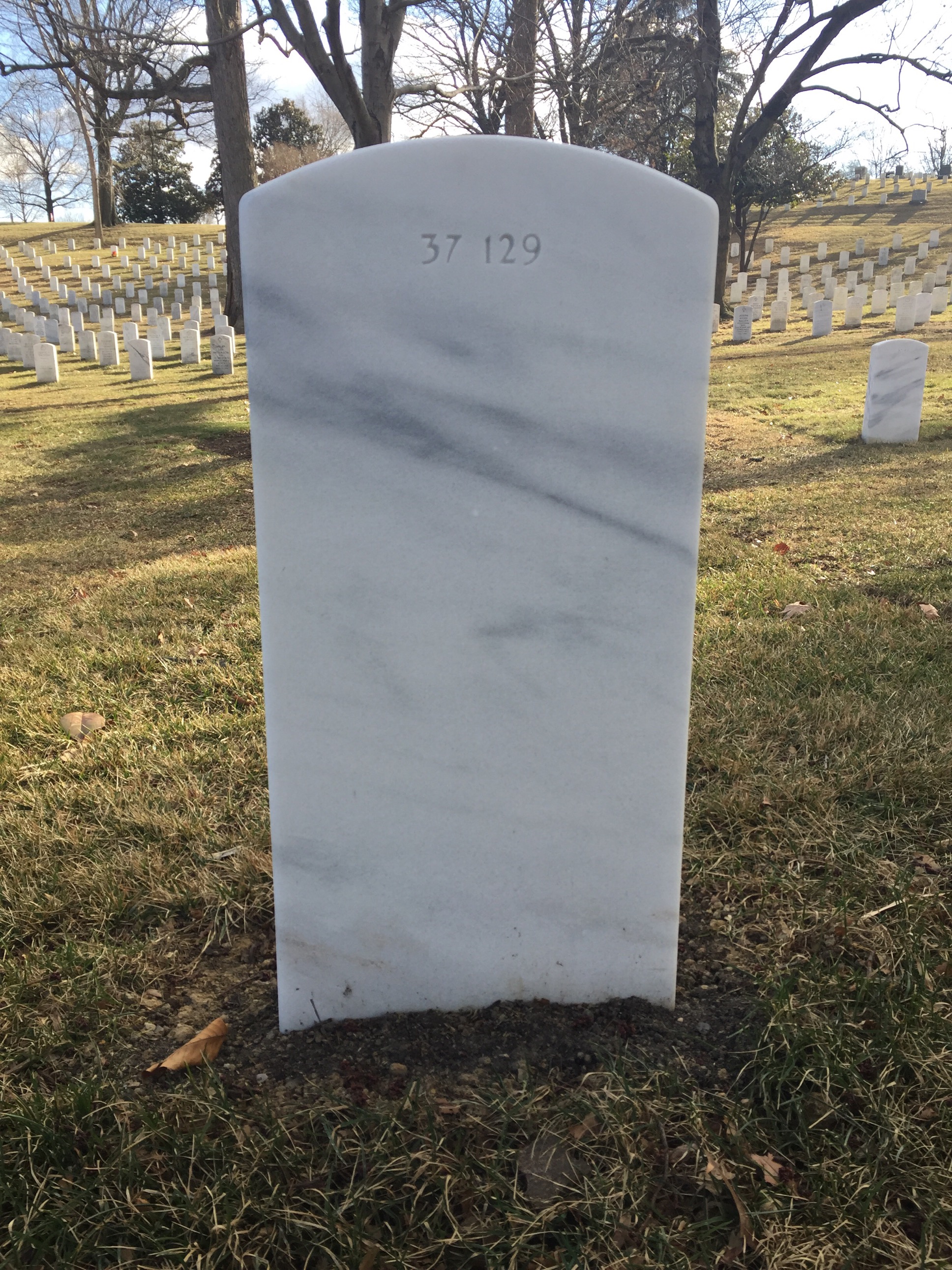 Back of headstone — Marvin Arthington