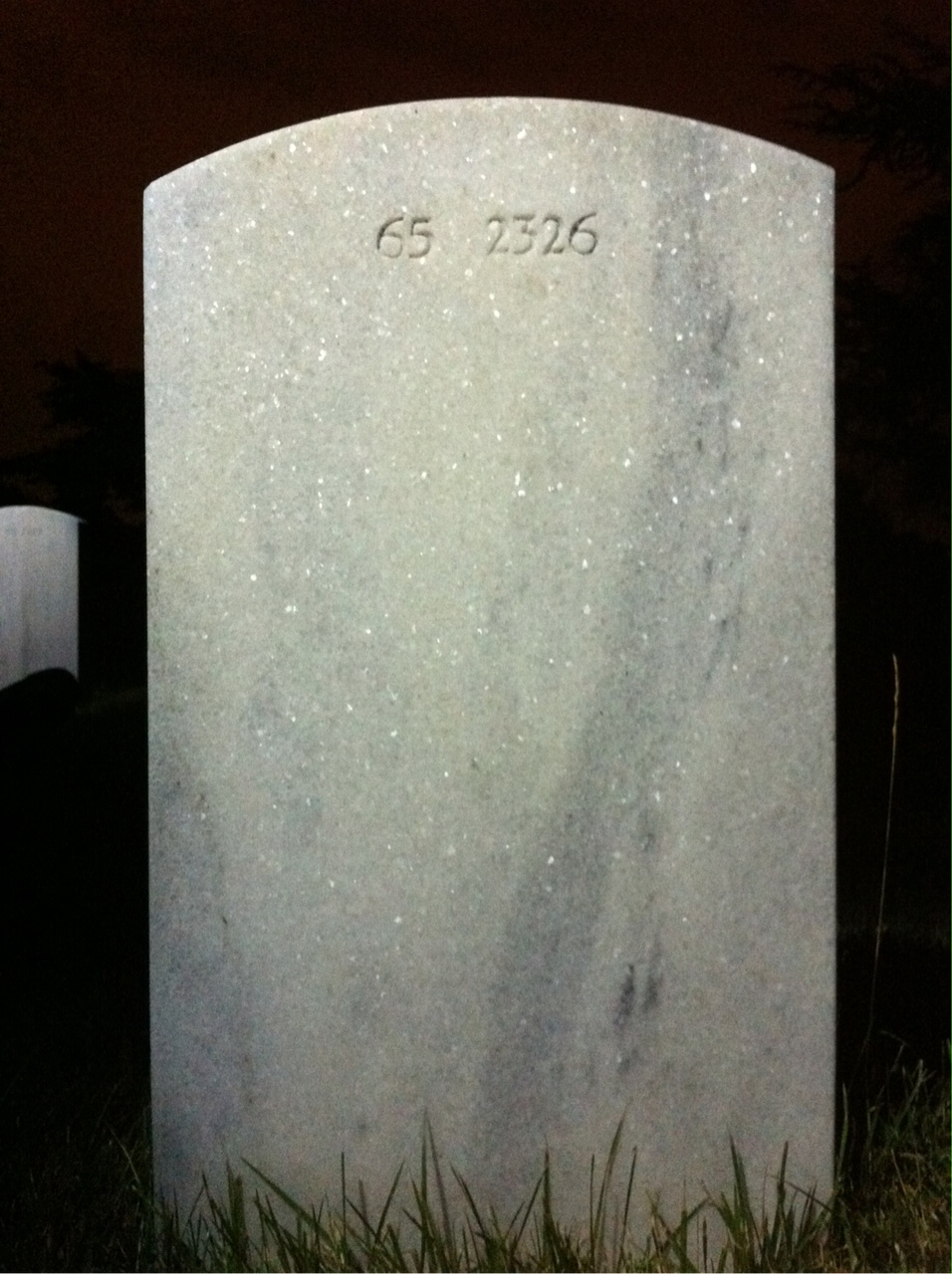 Back of headstone — Hector Allen