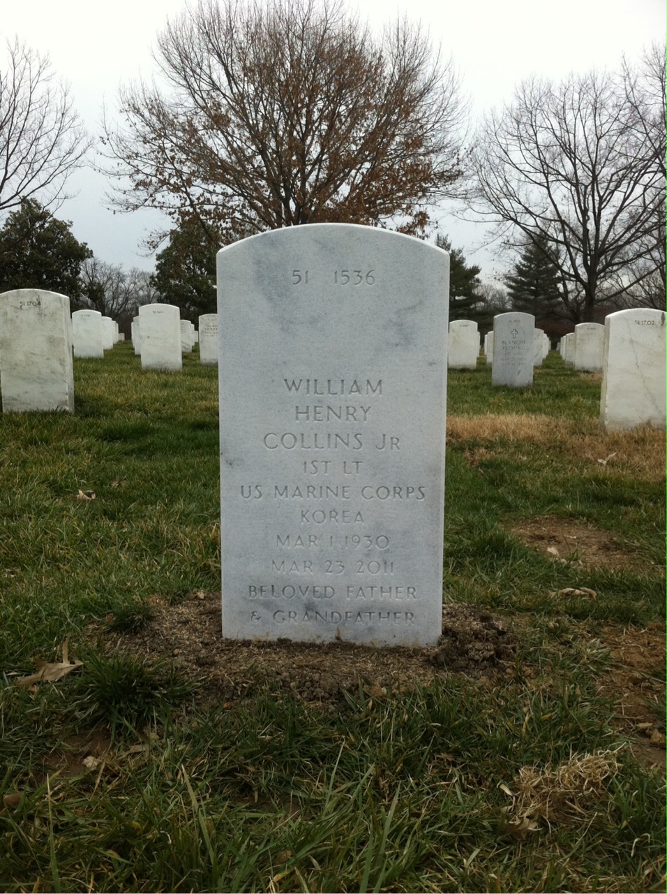Back of headstone — William F Collins