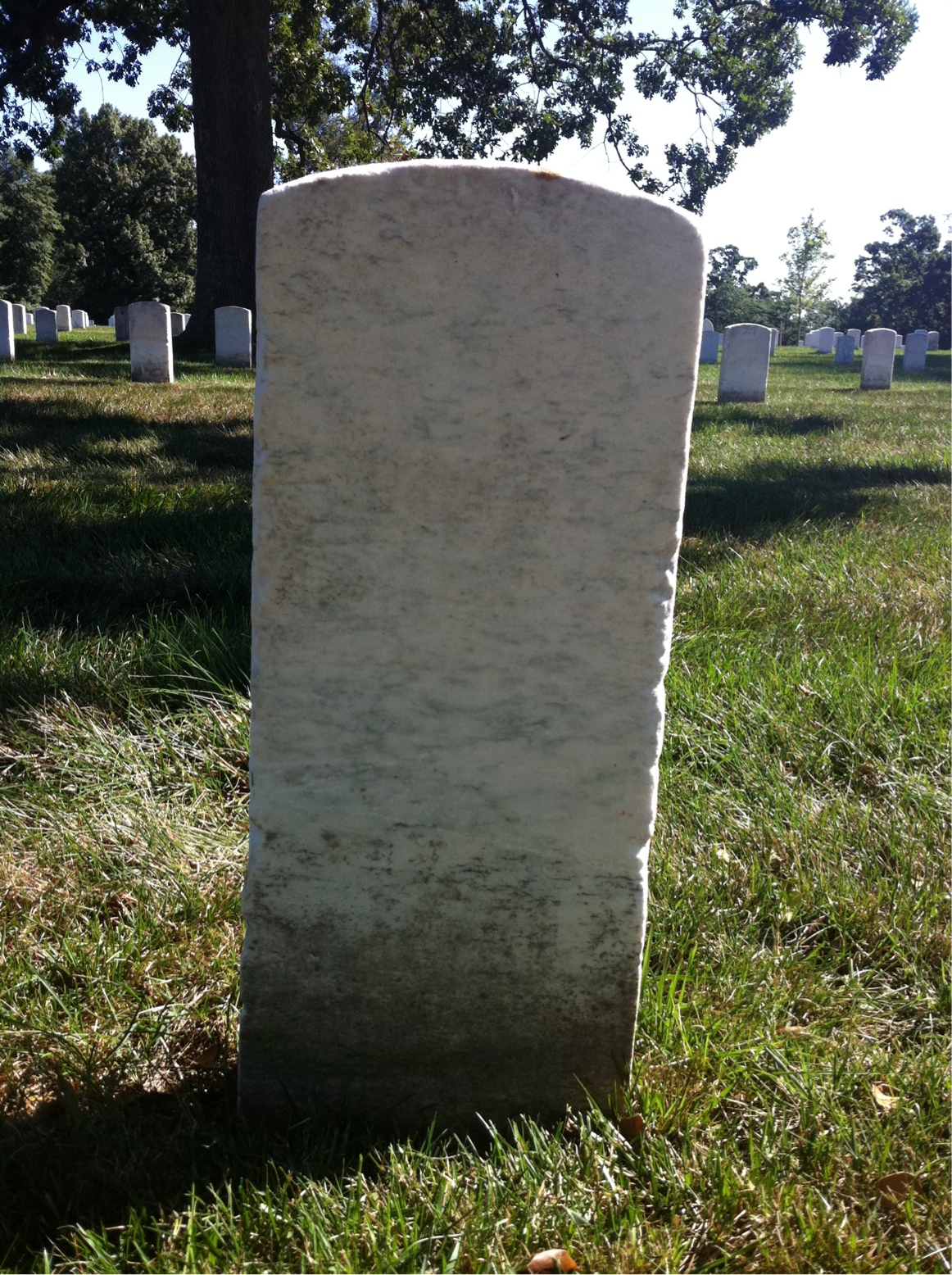 Back of headstone — Tenny Allen