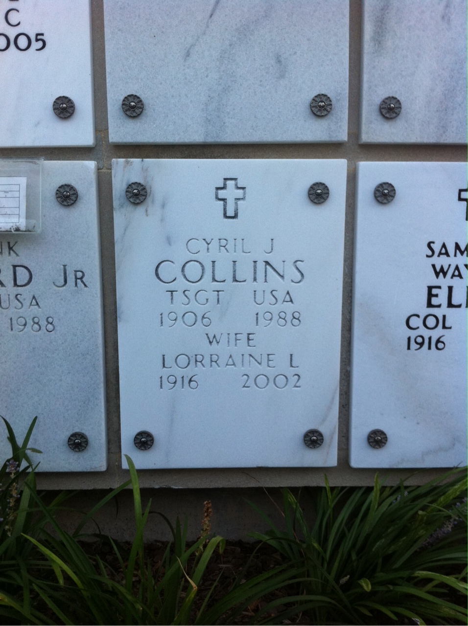 Lorraine Collins