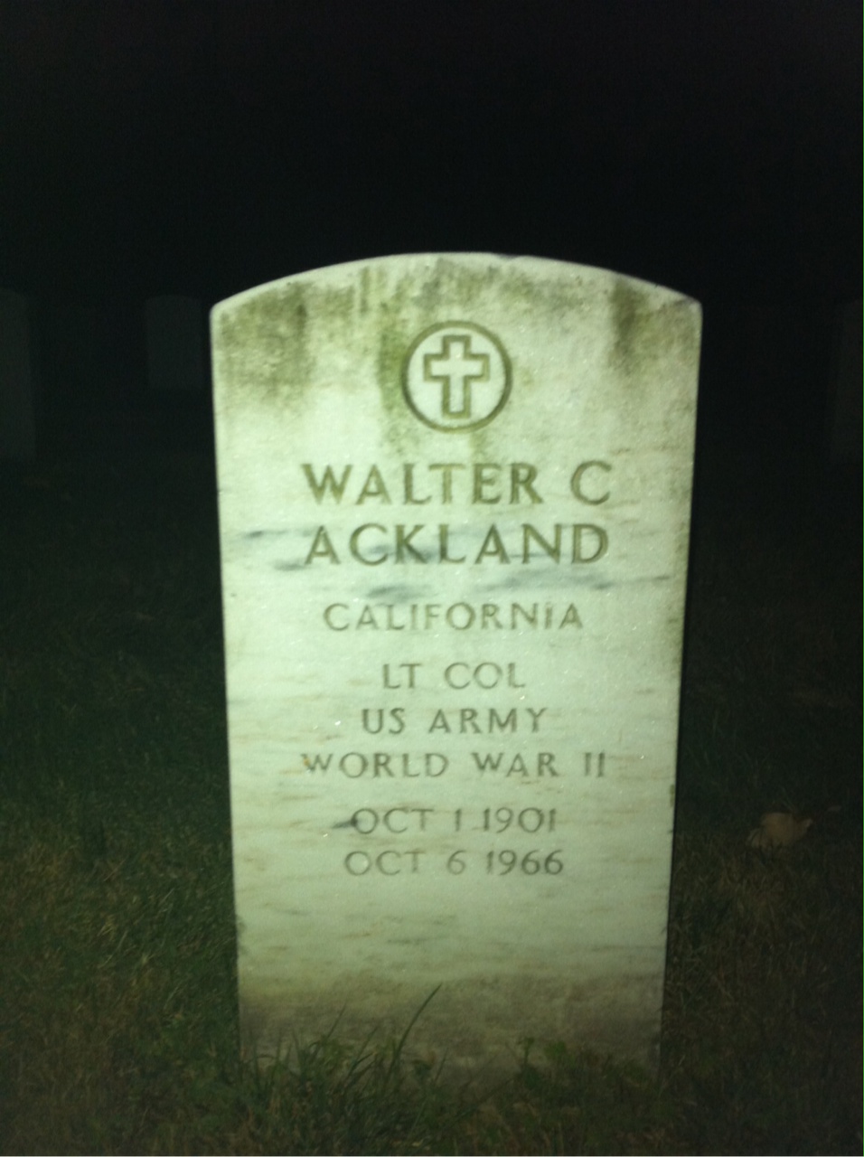 Veronica Ackland