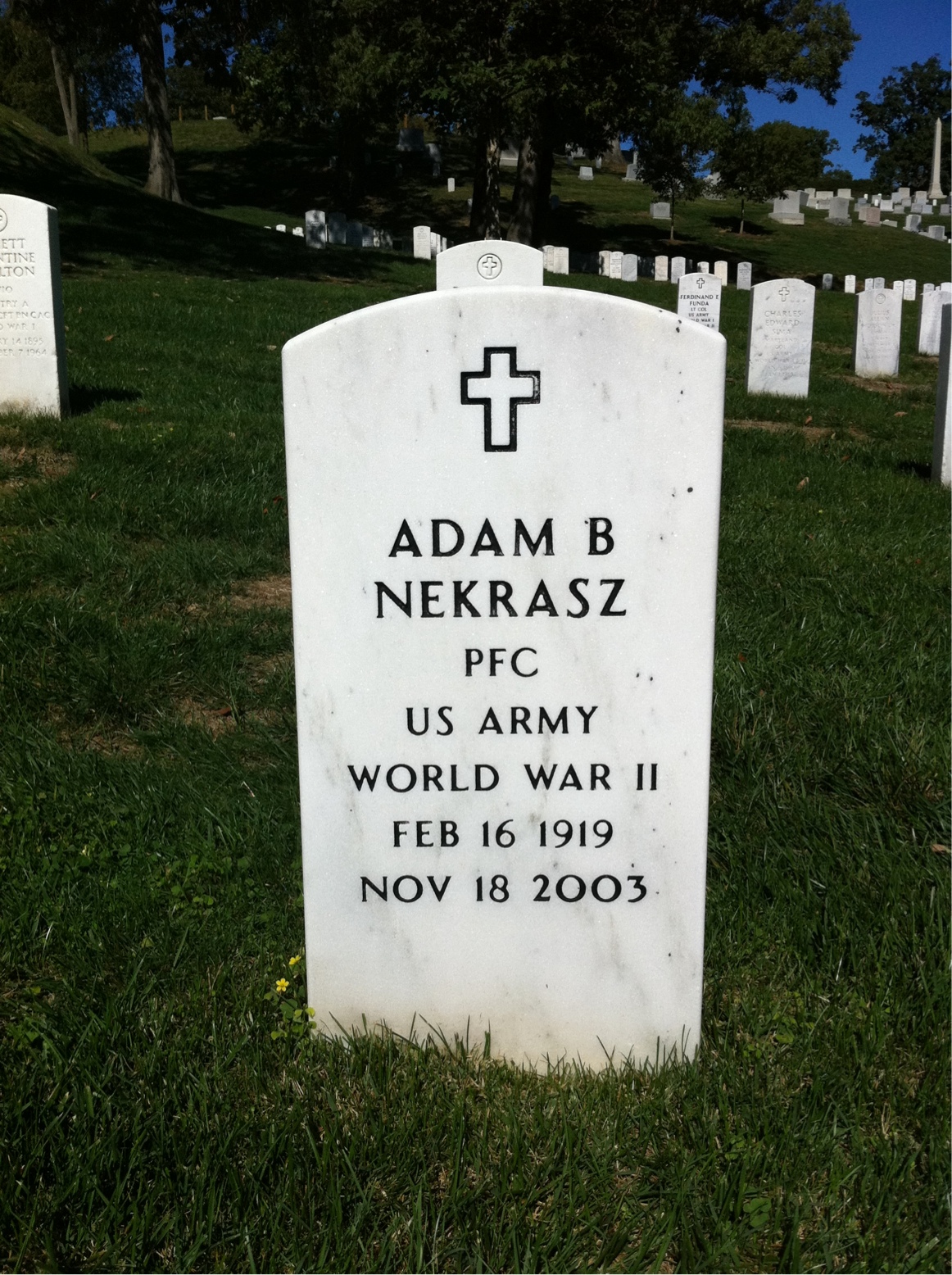 Adam Nekrasz