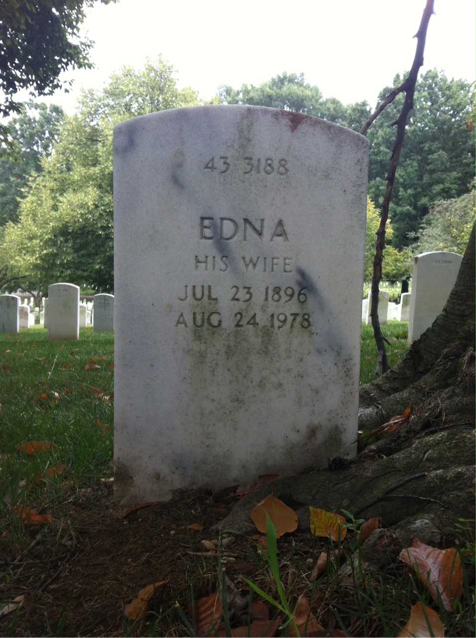 Back of headstone — Carl Conrad