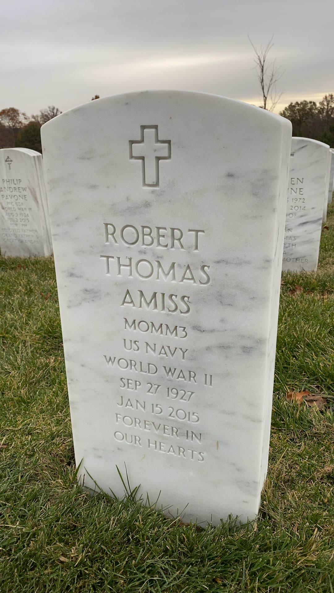 Robert Amiss