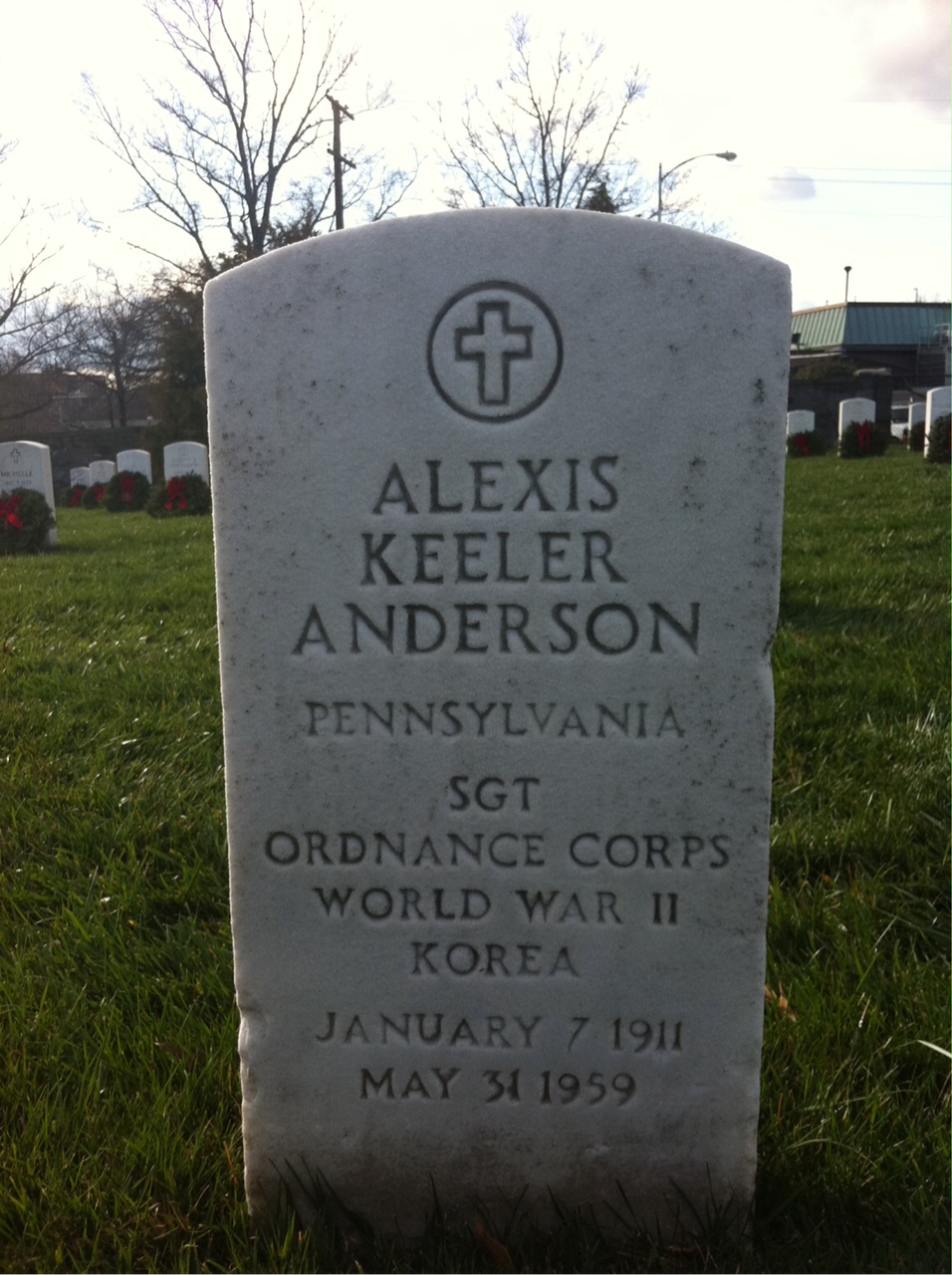 Alexis Anderson
