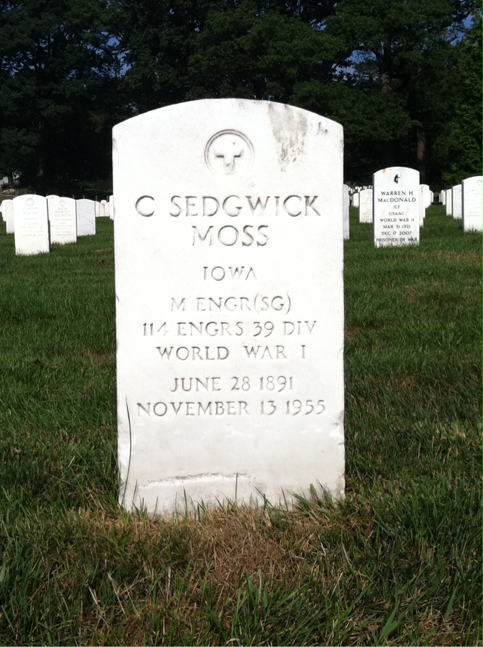 C Moss