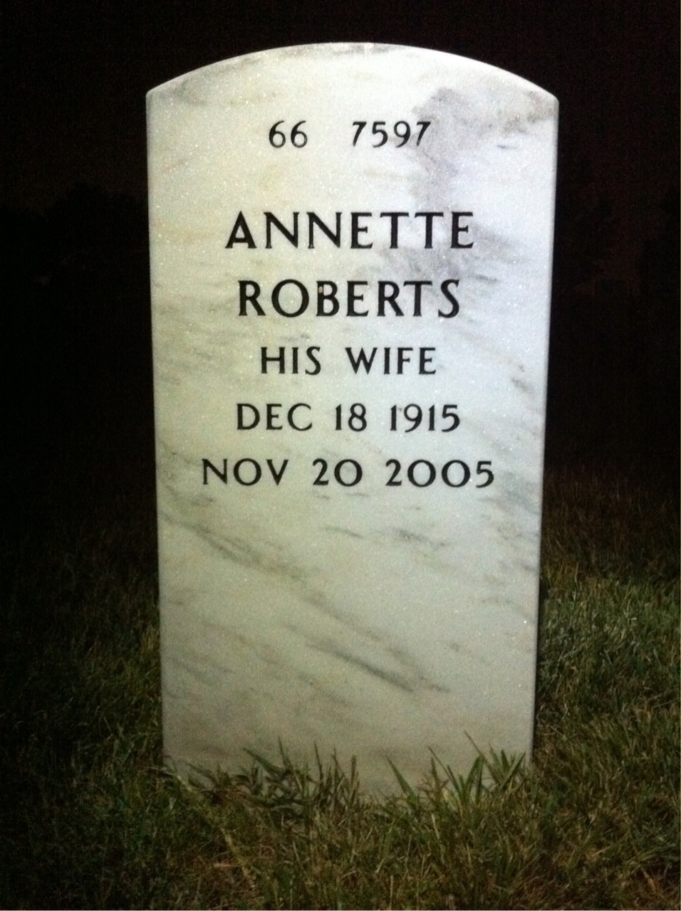 Back of headstone — Joe Tyler