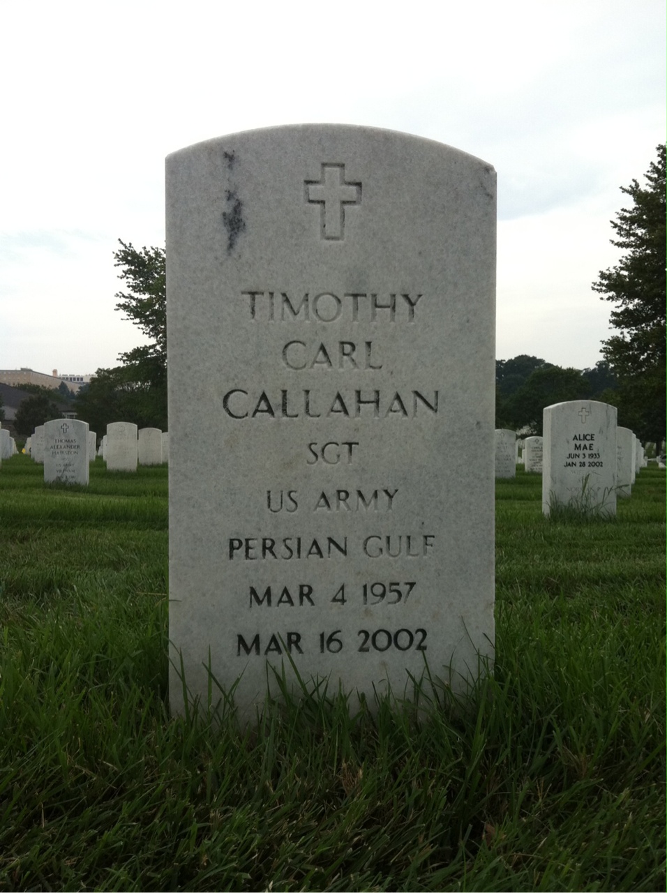 Timothy C Callahan