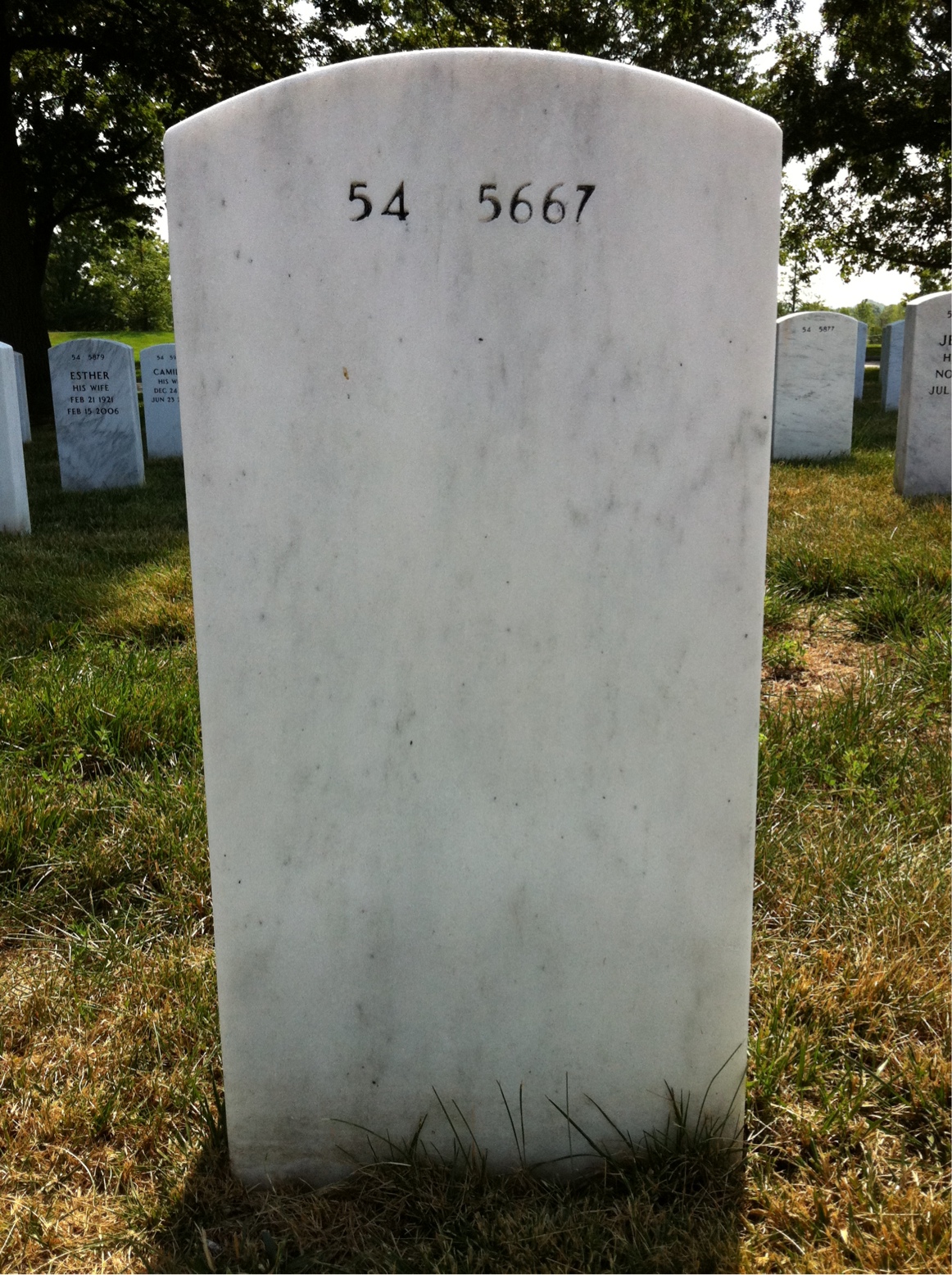 Back of headstone — Eli Giannascoli