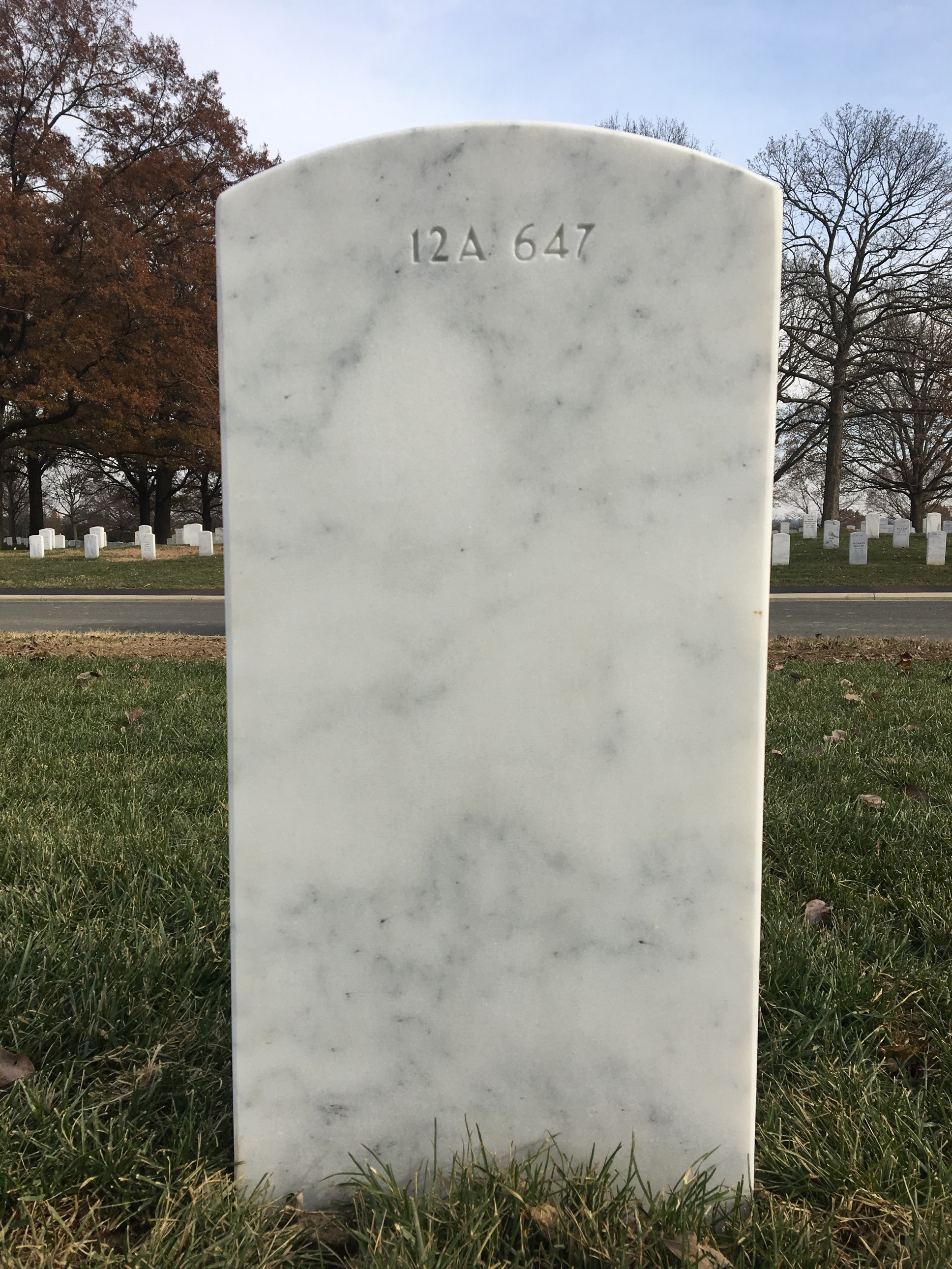 Back of headstone — Carl Eugene Reeves Black