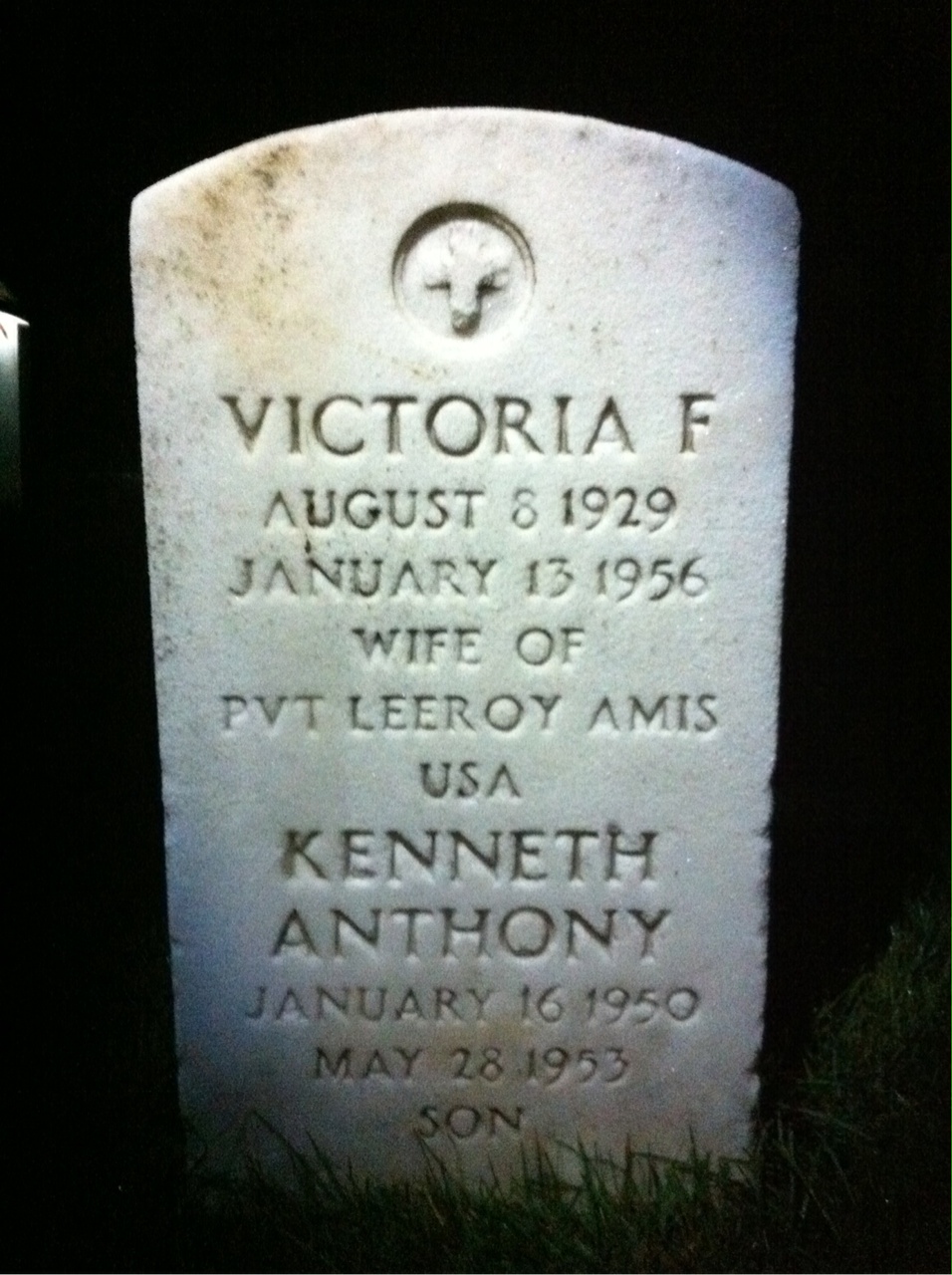 Victoria Amis