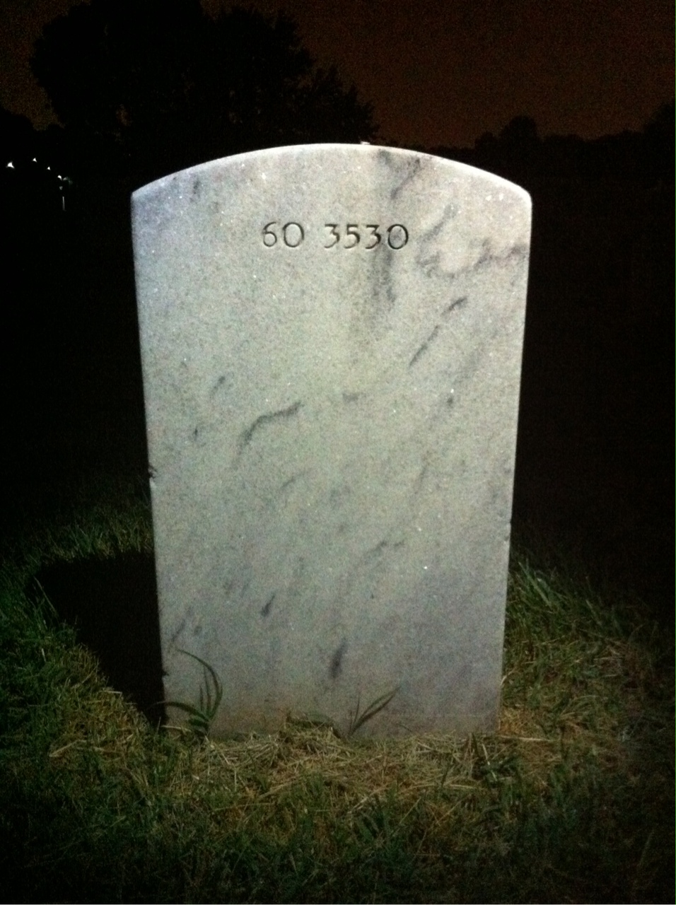 Back of headstone — Thomas Lowell Lewis