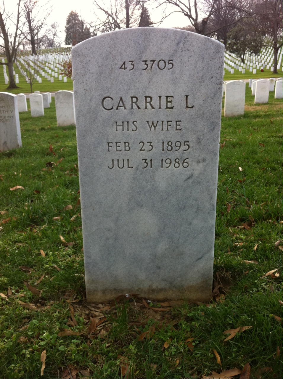 Back of headstone — Carrie Alsip