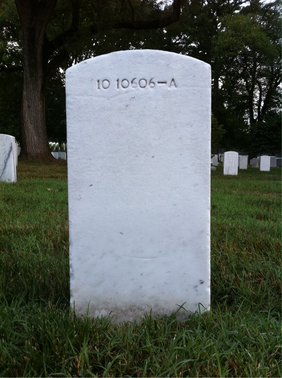 Back of headstone — Alonzo Mcnealea