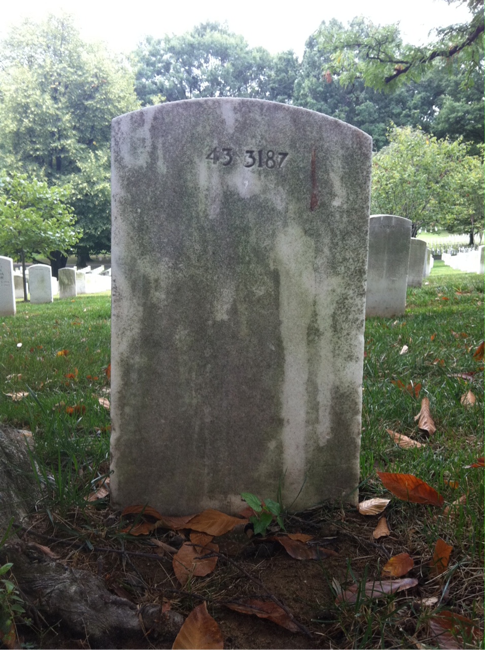 Back of headstone — Eugene Paul Johnson