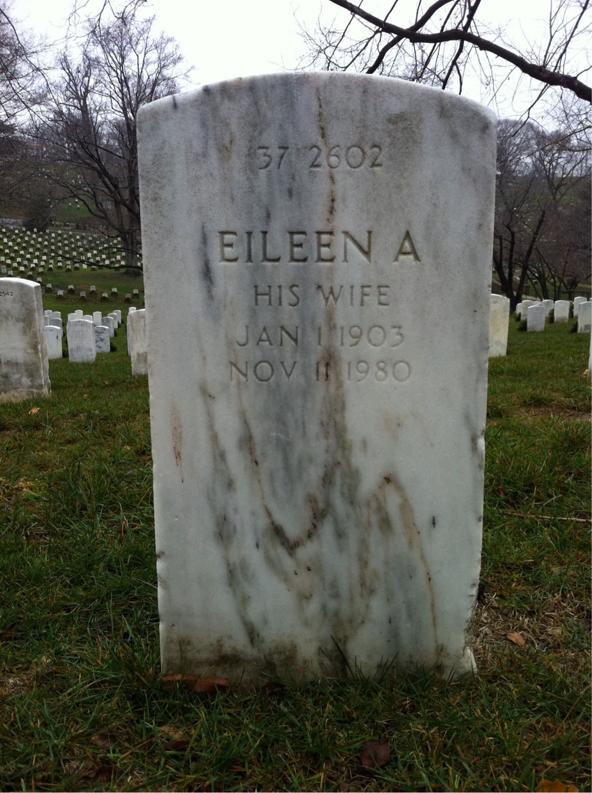 Back of headstone — Joseph Murphy