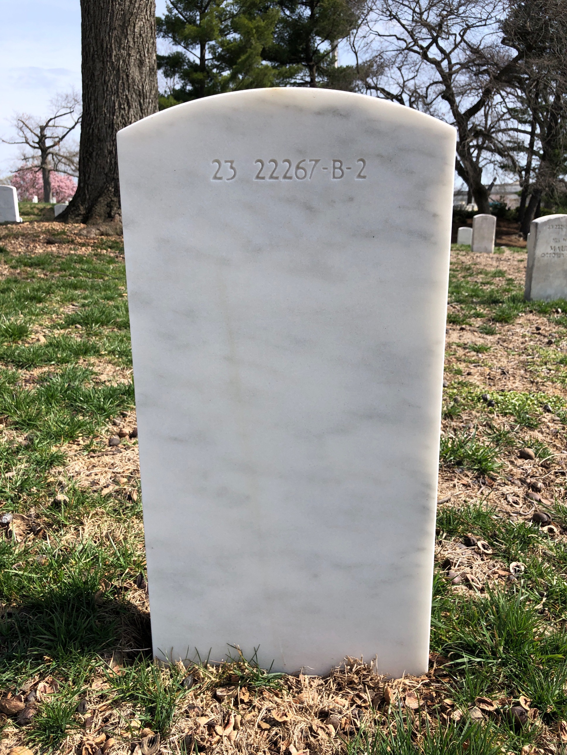 Back of headstone — Robert Ray Young