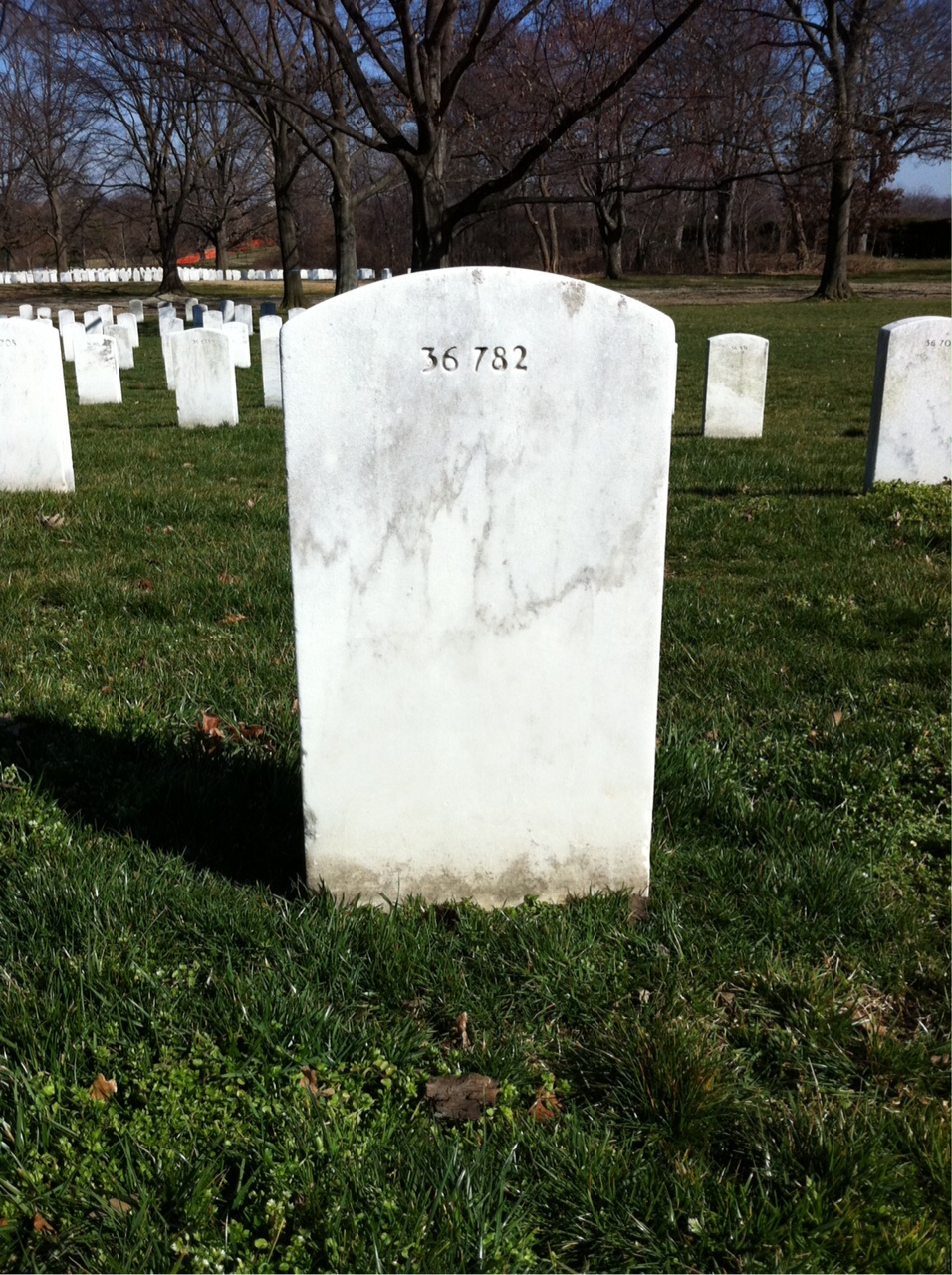 Back of headstone — Roy Middlecamp