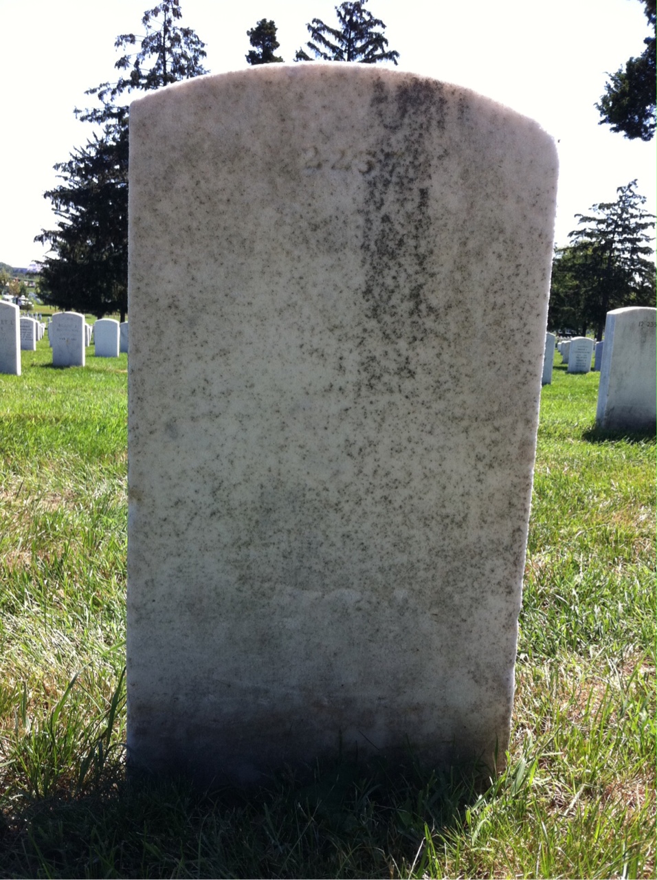 Back of headstone — William Miller