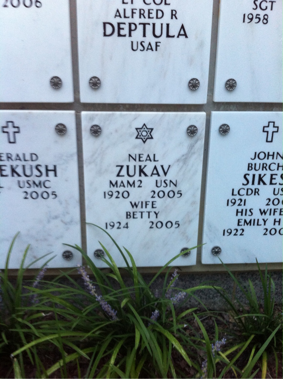 Neal Zukav