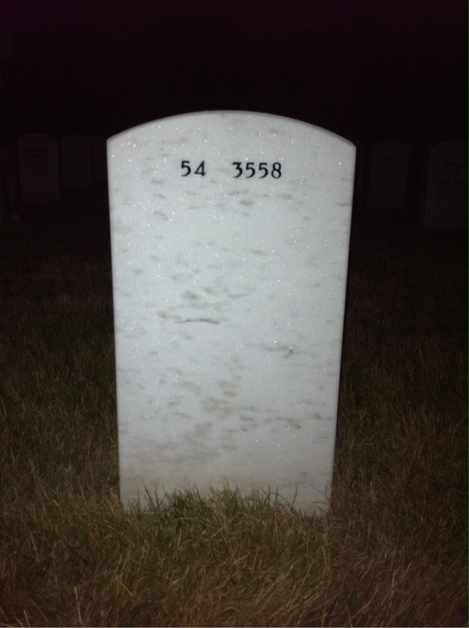 Back of headstone — William Arnold