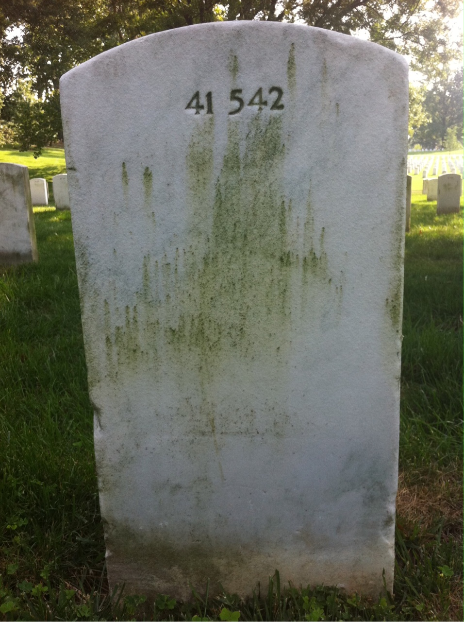 Back of headstone — Joseph Conover