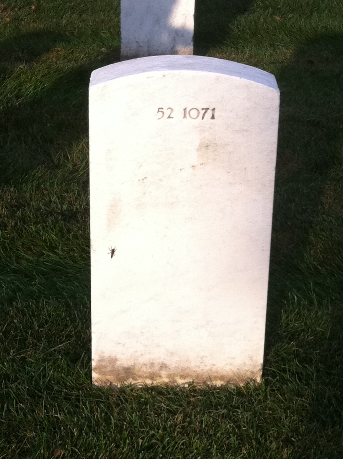 Back of headstone — Francis Myers