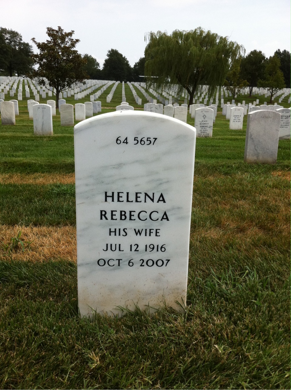 Back of headstone — Bruce Ligman