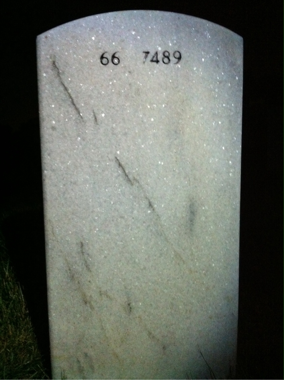 Back of headstone — Francis Lupo