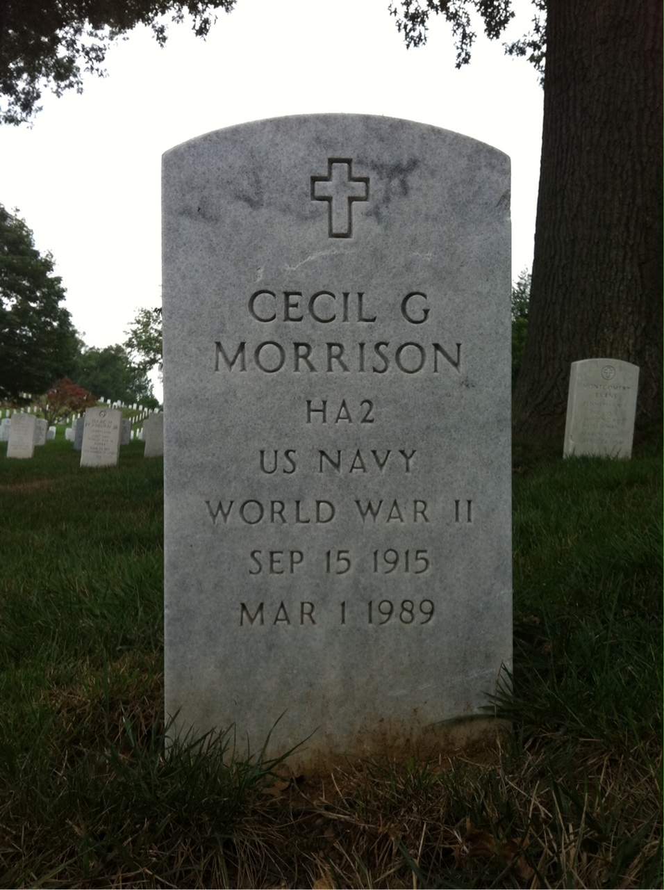 Linda Morrison