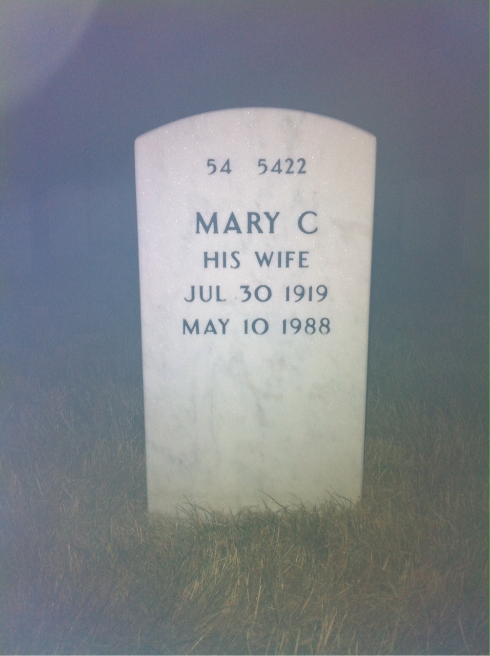 Back of headstone — Robert Ferguson