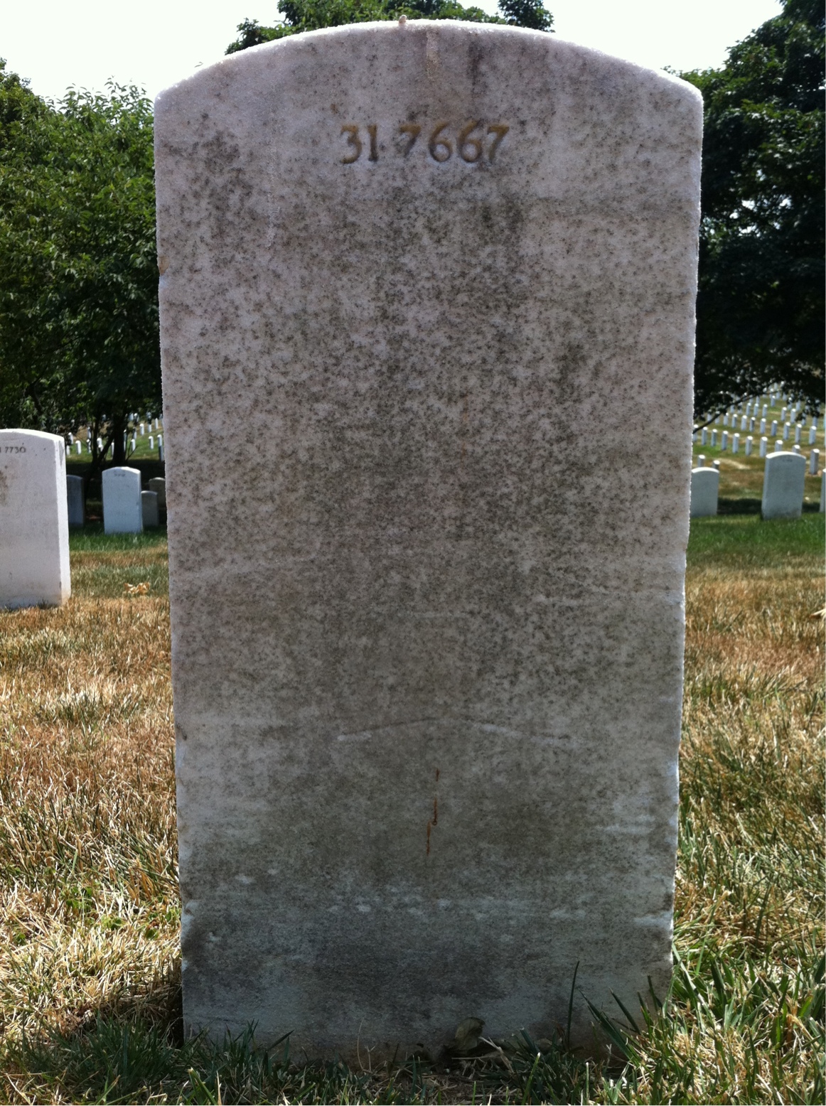 Back of headstone — Billie Alexander