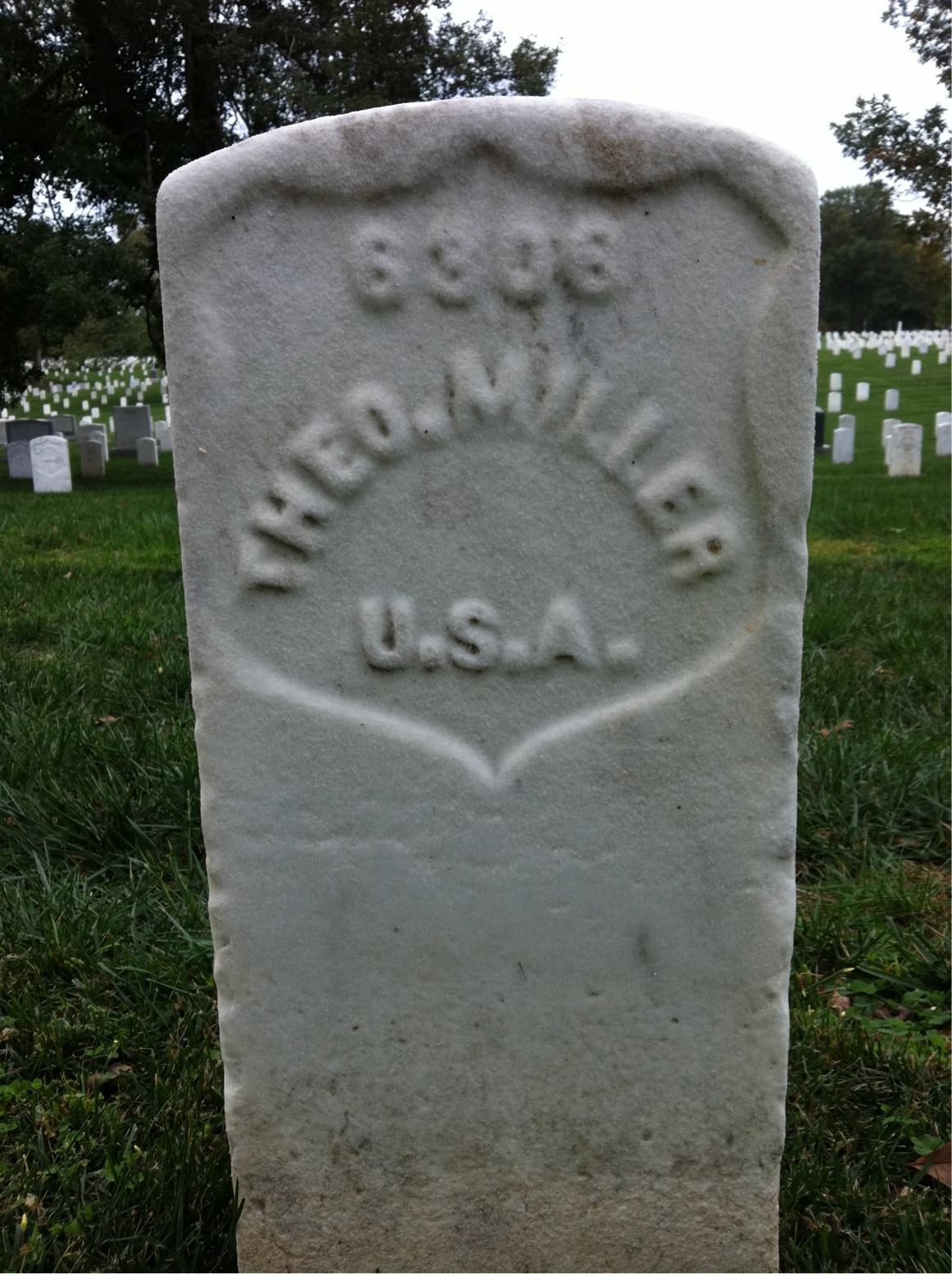 Theodore Miller