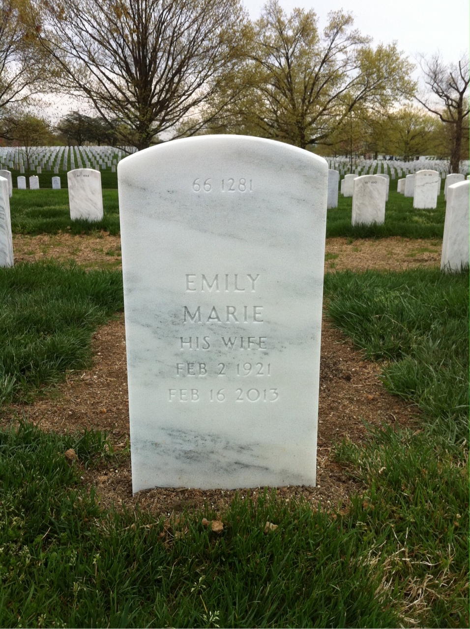 Back of headstone — Waldron Higgins
