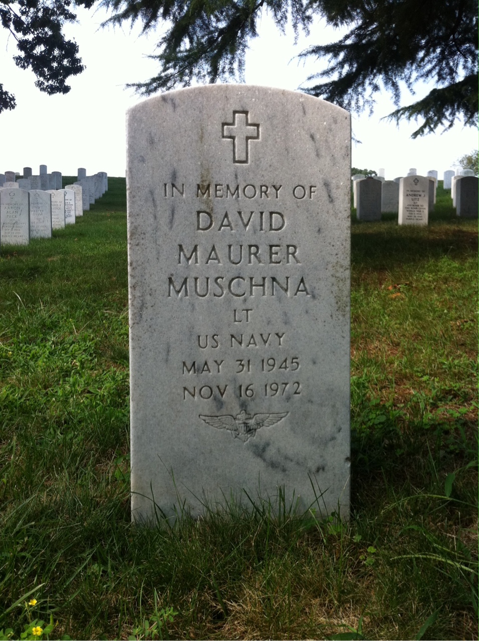 David Muschna