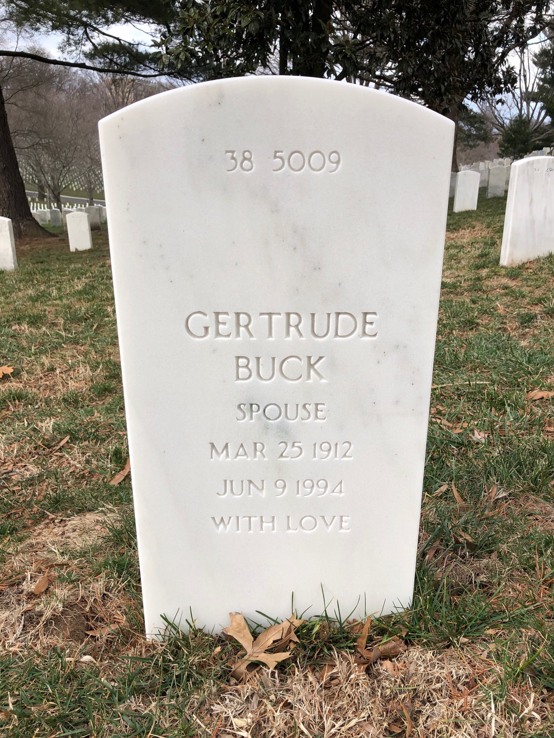 Back of headstone — Forrest Minor