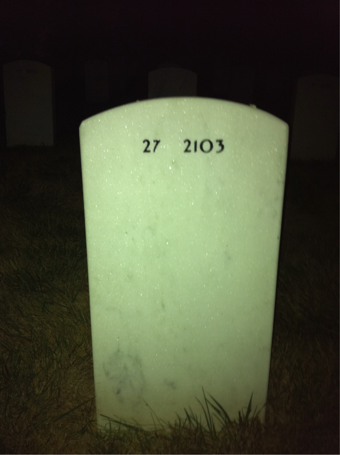 Back of headstone — L Alexander